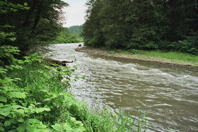 Řeka Morávka